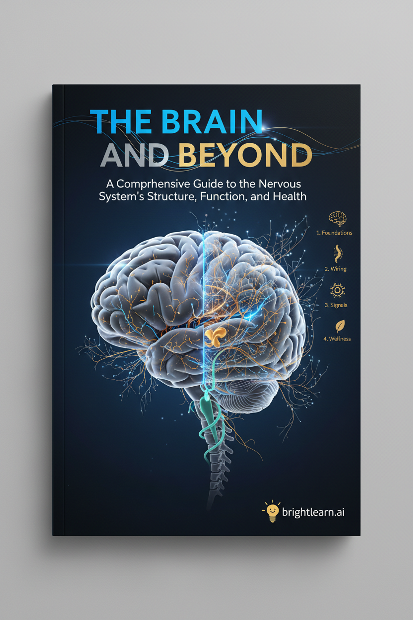 The Brain’s Core Structures: Cerebrum, Cerebellum, and Brainstem ...