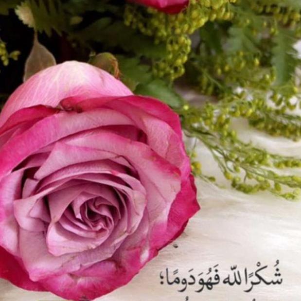 اميره بنت عبدالعزيز  السويلم