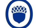 Trusted Property Management in Auckland