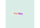 Healthy & Cute Dogs for Sale in Delhi – Shop Now