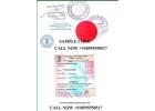 Get Fast Diploma Certificate Apostille with MEA Embassy Attestation
