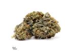 Buy Cheap Weed Online in Canada