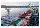 Bulk Shipping Services