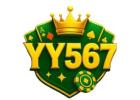 yy 567 game