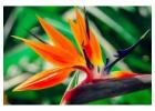 Healing Inspiration On YouTube!