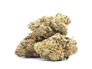 Buy Ice Wine Strain Online Canada Buy Ice Wine Strain Online Canada
