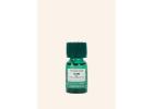 Tea Tree Oil Benefits for Face for Clear and Healthy Skin