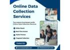 Best Online Data Collection Services in India