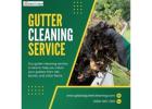 Gutter Cleaning in Pearcedale