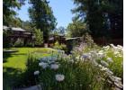 Landscape Design Companies Near Healdsburg