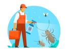 Best Pest Control Services in Delhi – Safe, Reliable & Affordable