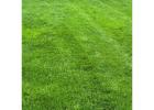 DreamLawn – Best Lawn Care in Leawood, Overland Park & Prairie Village