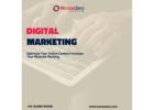Hire Freelance Digital Marketing Experts Near Belapur Today
