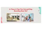 Pet Boarding Near Me | CGS Hospital