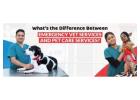 Pet Care Service  | CGS Hospital
