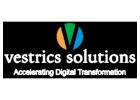 ERP adoption Services| ERP Migration Services| Vestrics
