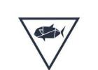 East Coast Angling - Port Douglas Fishing Tour