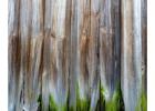 Find the Best Siding That Looks Like Logs for Your Home
