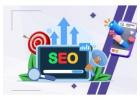 SEO Agency in Noida – Get More Traffic & Leads