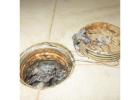 Drain Cleaning Service | Liquid Force Plumbing & Gas