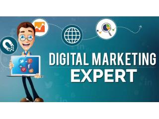 Best Digital Marketing Agency in Chandigarh Best Digital Marketing Agency in Chandigarh