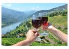 Exclusive Private Wine Tours in Porto