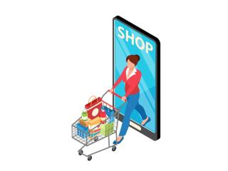 The Future of Online Grocery Shopping with a BigBasket Clone App The Future of Online Grocery Shopping with a BigBasket Clone App