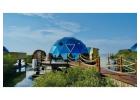 Top 10 Luxury Hotels in Dubai | Dubai Mangrove Resort Price