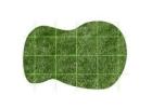 Best Lawn Seed for Lush, Healthy & Long-Lasting Lawns
