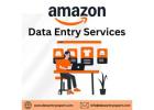 Best Amazon Data Entry Services