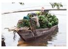 Vakantie Rwanda: Beleef Een Unieke Wilderniservaring
