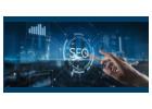 SEO Agency in Noida – Expert Solutions for Growth