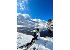 Brahmatal Trek vs Kedarkantha Trek: Which One to Choose?