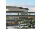 Flats for Sale in Gurgaon | The Trillion