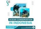 Ocean Conservation in Indonesia