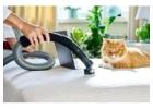 D&G Carpet Cleaning: Trusted Choice for Best Company for Carpet Cleaning