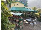 Pet Friendly Homestay In Nainital | Rosastays