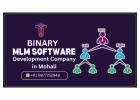 mlm software development company in chandigarh