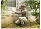 Reliable Pest Management Solutions in San Antonio