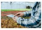 Inventory Management System for Commercial Plant Growers, Greenhouses & Nursery