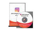 Instagram Ads Success