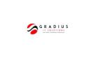 Gradius IT Solutions