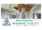 Protect Your Home with Expert Florida Mold Inspections