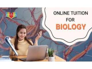Biology Tuition Near Me – Class 12 Support That Brings Expert Guidance to Your Home Biology Tuition Near Me – Class 12 Support That Brings Expert Guidance to Your Home