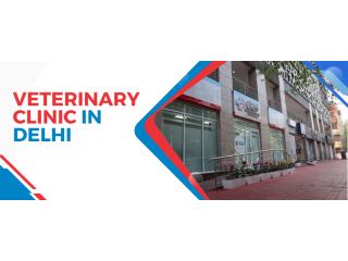 Veterinary Clinic in Delhi | CGS Hospital Veterinary Clinic in Delhi | CGS Hospital