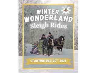 Horse-Drawn Sleigh Rides in Saskatoon — Winter Magic at Champêtre County Horse-Drawn Sleigh Rides in Saskatoon — Winter Magic at Champêtre County
