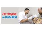 Pet Care In Delhi  | CGS Hospital