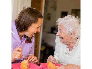 Professional Home Care North Reading Professional Home Care North Reading