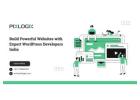 Build Powerful Websites with Expert WordPress Developers