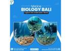 Marine Biology Bali – Explore the Underwater World
